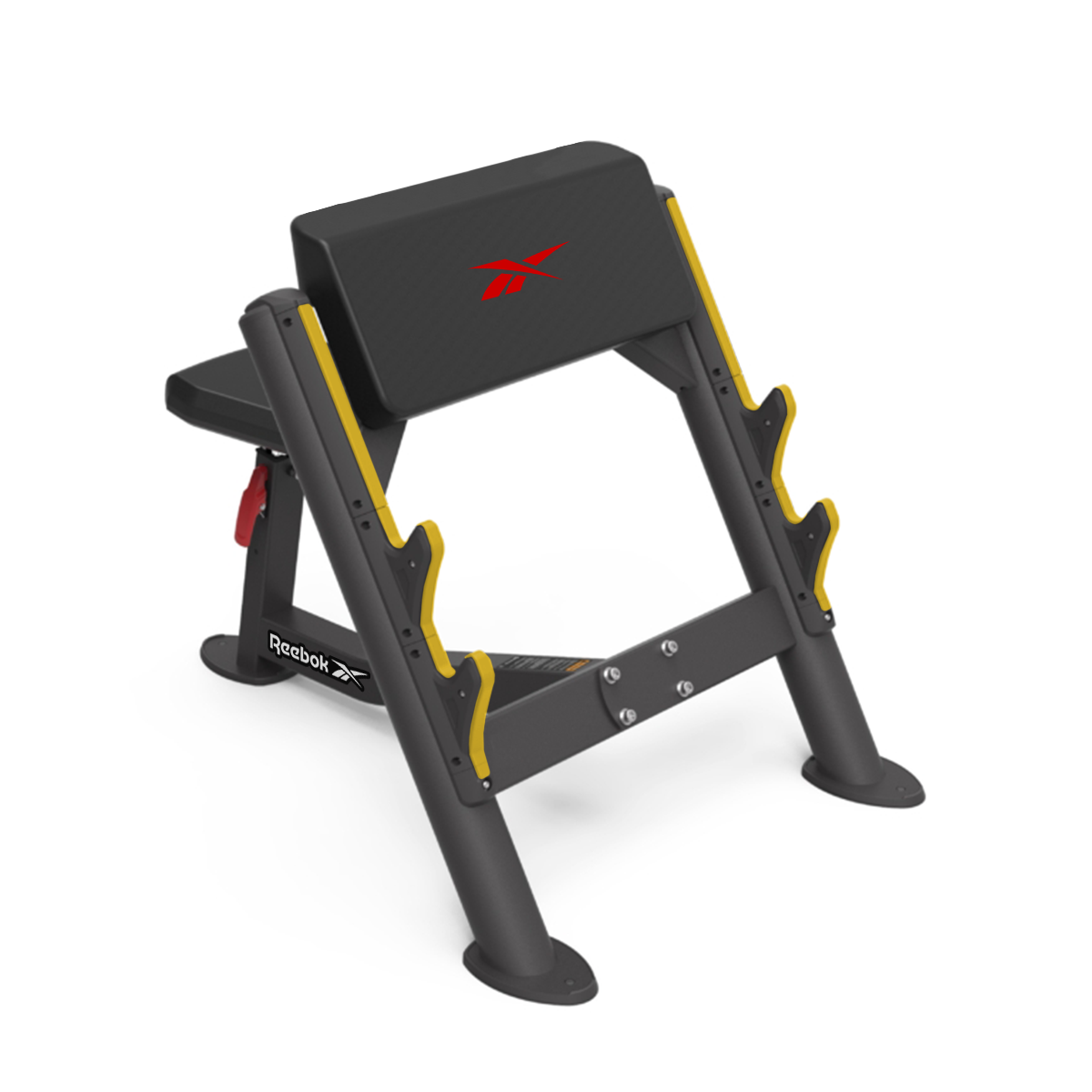 Preacher Curl